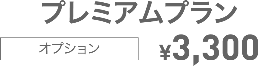 プレミアムプラン